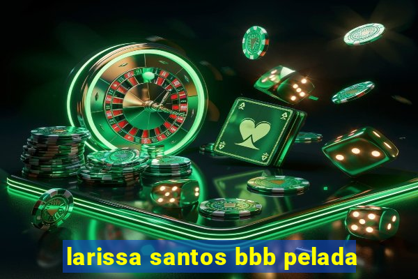 larissa santos bbb pelada